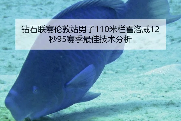 钻石联赛伦敦站男子110米栏霍洛威12秒95赛季最佳技术分析